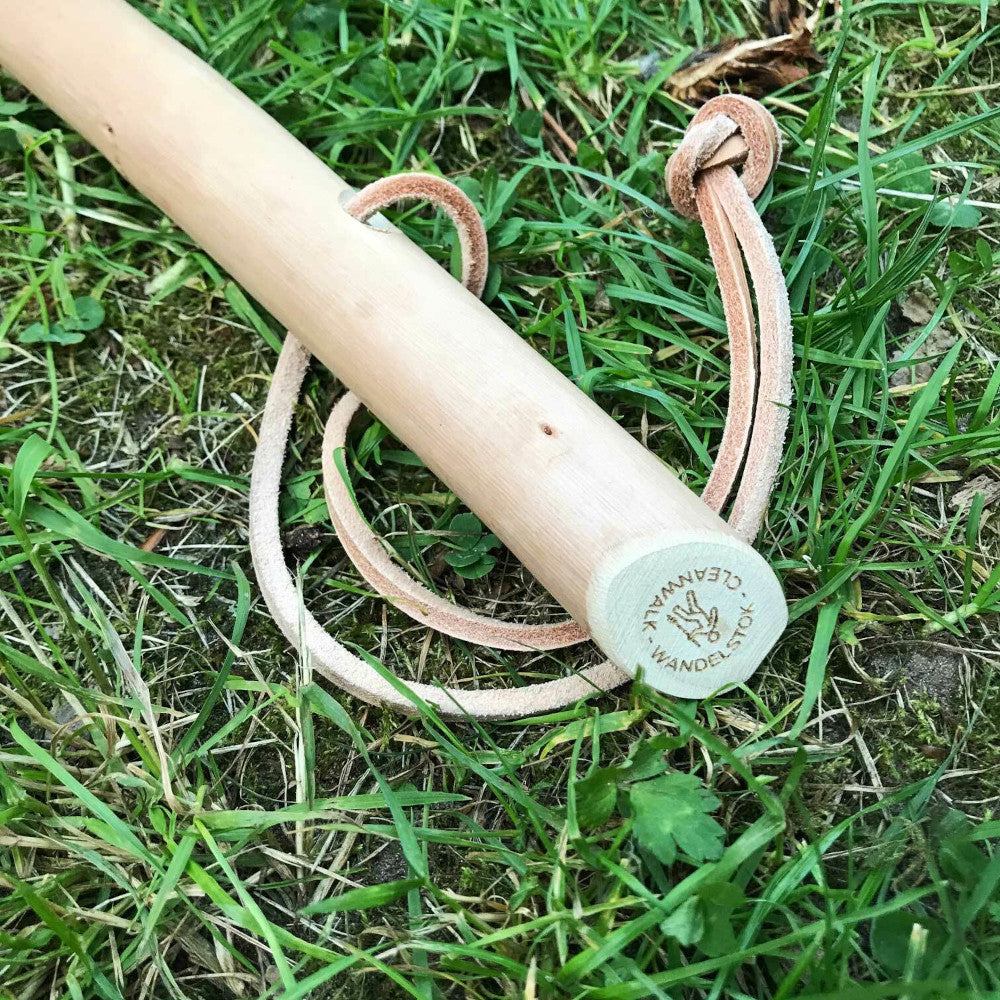 CleanWalk Wandelstok
